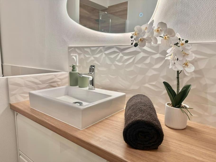 Ferienwohnung L'Orchidee - Netflix - Wi-Fi - Proche Centre Troyes Exterior foto